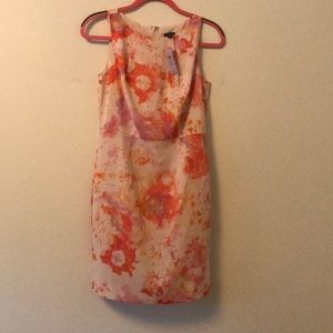 NWT - Ann Taylor Dress - Size 6P